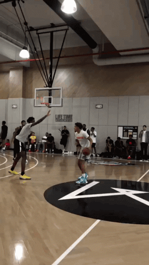 兵蚁分工 兵蚁分工